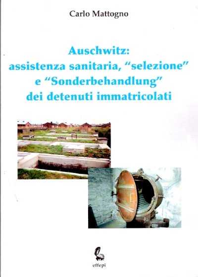 Auschwitz: assistenza sanitaria selezione sonderbehandleung dei detenuti immatricolati