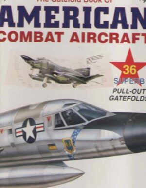 American combat aircraft