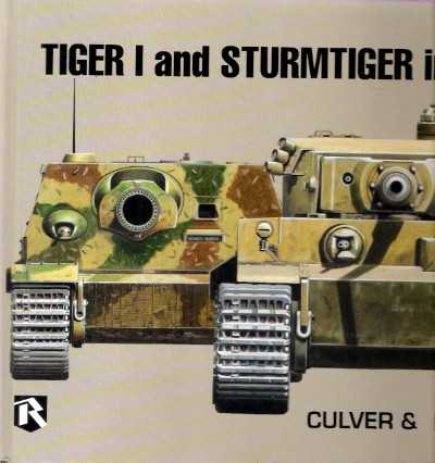 Tiger i ad sturmtiger in detail