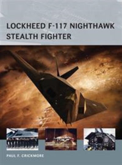 Airv16 lockheed f-117 nightawk stealth fighter