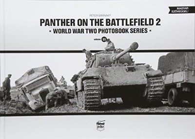 Panther on the battlefield 2