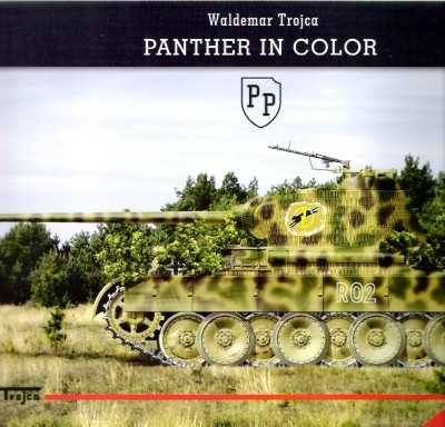 Panther in color